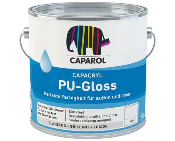 Capacryl mix PU-Gloss, Basis PGS 50 36 16